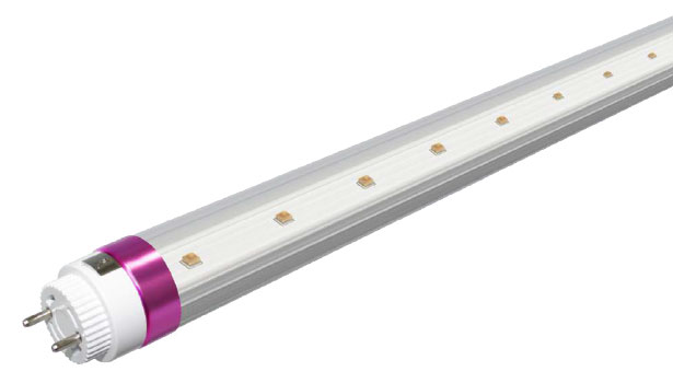 led-tube-main